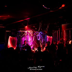 Torture Garden fetish club night Haunted Hospital 2 image 2 taken by Chasing Tigers 