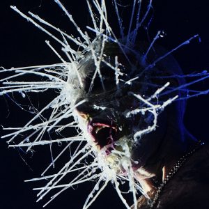 Torture Garden fetish club night Halloween Ball 1 Pt.1 image 1 taken by Nic Bezzina 